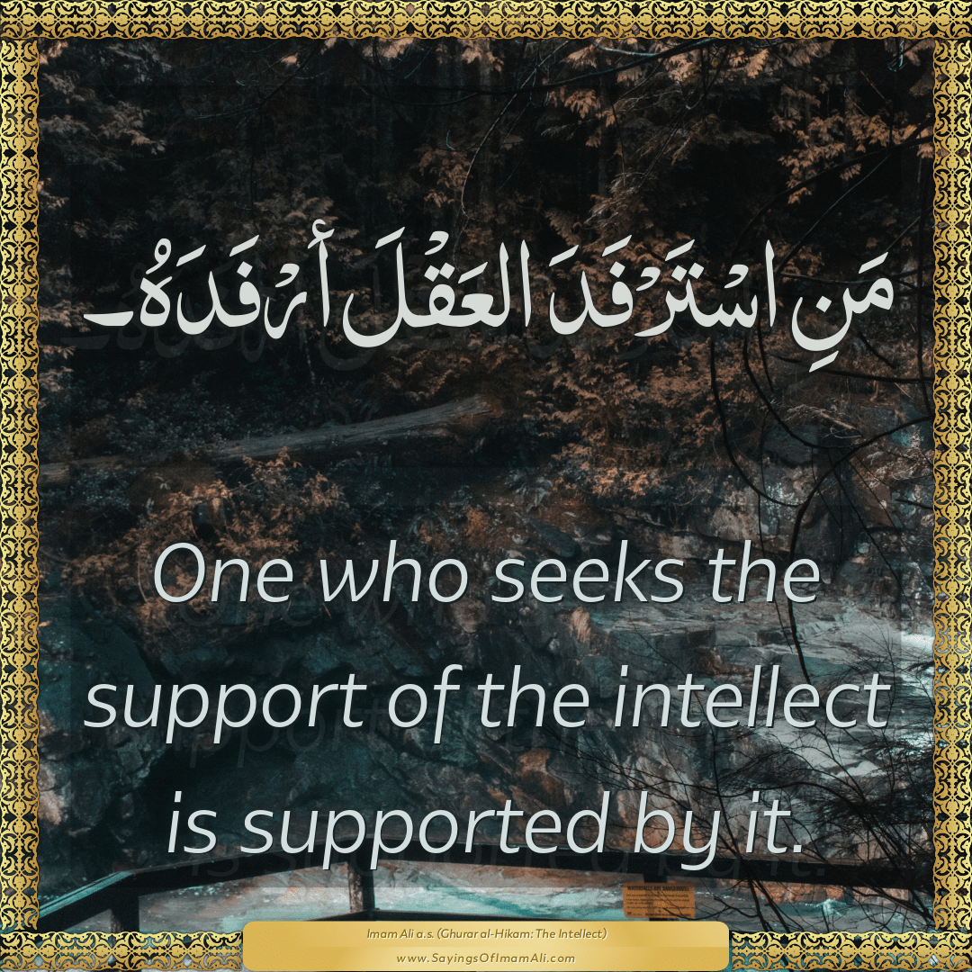 One who seeks the support of the intellect is supported by it.